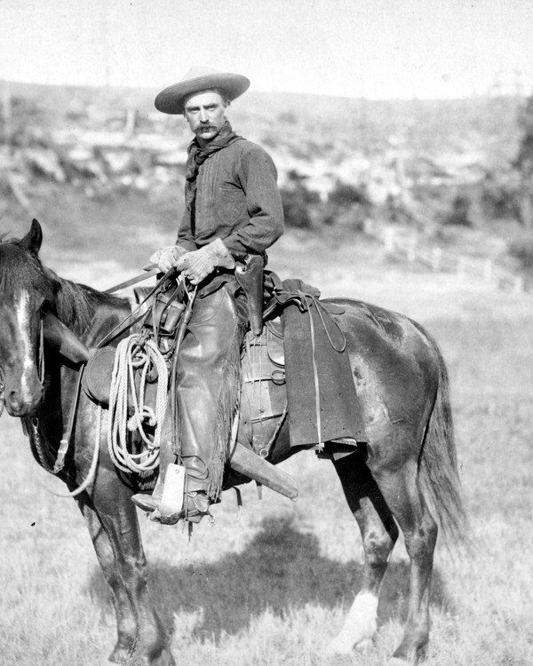 Vaquero a caballo con lazo en la pradera
